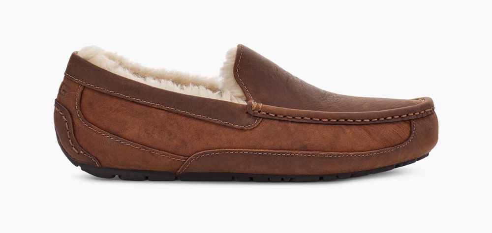 Ugg Ascot - Mens Slippers - Chocolate - NZ (7408NRTHP)